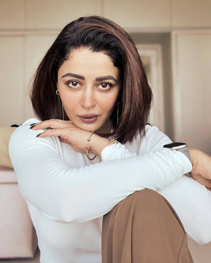 भाभीजी घर पर है,मे आय कम इन मॅडम?,मिठी मिठी बाते या हिंदी मालिकांमध्ये नेहानं काम केलं.(Nehha Pendse/ instagram)