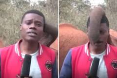 Viral Video: ਰਿਪੋਰਟਿੰਗ ਦੌਰਾਨ ਹਾਥੀ ਨੇ ਕੀਤਾ ਰਿਪੋਰਟਰ ਨਾਲ ਮਜ਼ਾਕ, ਹੱਸ-ਹੱਸ ਹੋ ਜਾਉਗੇ ਕਮਲੇ