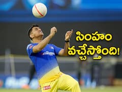 MS Dhoni: టీమ్‌ఇండియా క్రికెట్‌ డైరెక్టర్‌గా ధోనీ! బీసీసీఐ ఎమర్జెన్సీ మెసేజ్‌!