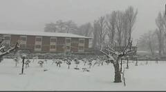 Chandigarh News: ਚੰਡੀਗੜ੍ਹ 'ਚ ਅਚਾਨਕ ਤਾਪਮਾਨ ਡਿੱਗਣ ਨਾਲ ਛਿੜੀ ਕੰਬਣੀ, 18 ਤੇ 19 ਨਵੰਬਰ ਨੂੰ ਪਵੇਗਾ ਮੀਂਹ