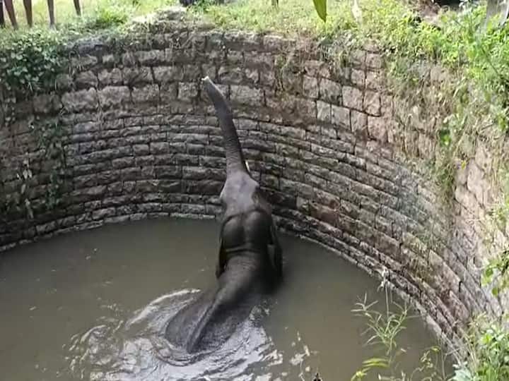 Chittoor district Gandlapalli Elephant falls into agricultural well Forest officials conducts rescue operations DNN Chittoor News : వ్యవసాయ బావిలో పడిపోయిన ఏనుగు, అటవీ అధికారుల రెస్క్యూ ఆపరేషన్