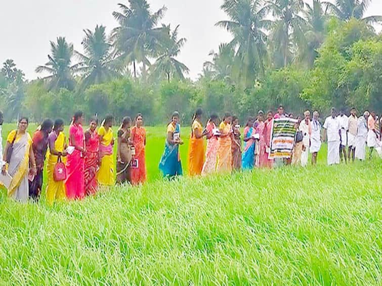 Thanjavur: tour has been arranged for farmers to learn about traditional rice cultivation TNN  தஞ்சை: பாரம்பரிய நெல் சாகுபடி குறித்து விவசாயிகள் அறிந்து கொள்ள சுற்றுலா