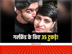 कौन सी है वो वेबसीरीज, जिसे देखकर आफताब ने अपनी गर्लफ्रेंड के कर दिए 35 टुकड़े