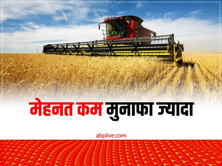 Wheat Sowing Technique: कम मेहनत में चाहिए गेहूं का जबरदस्त उत्पादन तो इसी तकनीक से करें खेती, जुताई की टेंशन ही खत्म wheat Cultivation with zero tillage method to Improve quality and increase the production of wheat Wheat Sowing Technique: कम मेहनत में चाहिए गेहूं का जबरदस्त उत्पादन तो इसी तकनीक से करें खेती, जुताई की टेंशन ही खत्म