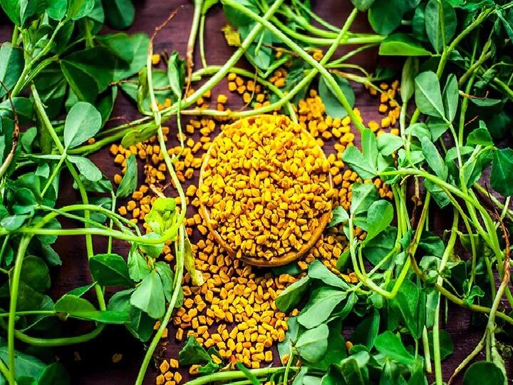 মেথি বীজ: মেথি বীজে উপস্থিত ফাইবার, যা 