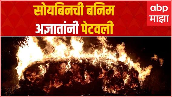 Latur Soybean : सोयाबीनची बनिम जळून खाक, शेतकऱ्यांमध्ये भीतीचं वातावरण