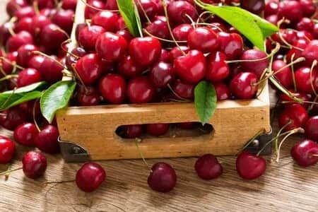 Health Benefits Of Cherry: You will be surprised to know the benefits of eating cherries, from insomnia to relief from these 5 diseases. Health Benefits Of Cherry : ਚੈਰੀ ਖਾਣ ਦੇ ਫਾਇਦੇ ਜਾਣ ਕੇ ਹੋ ਜਾਓਗੇ ਹੈਰਾਨ, Insomnia ਤੋਂ ਲੈ ਕੇ ਇਨ੍ਹਾਂ 5 ਬਿਮਾਰੀਆਂ ਤੋਂ ਮਿਲਦੀ ਰਾਹਤ 