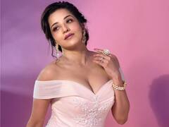 Monalisa Story: कभी 120 रुपए में होटल में करती थीं मोनालिसा, अब टीवी इंडस्ट्री पर करती हैं राज, जानिए उनकी स्टोरी