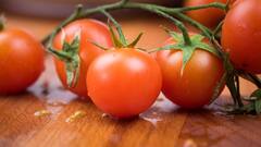 Tomato Benefits : टोमॅटोचे 'हे' आश्चर्यकारक फायदे तुम्हाला माहित आहेत का?