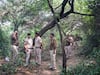 Shraddha Murder Case: Cops Find Pelvis, 10 Other Bones From Drain In Mehrauli Jungle