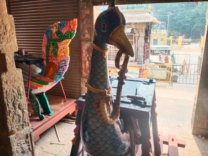 வண்ணம் தீட்டிய மயில் வாகனம்