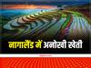 Scientific Farming: इस राज्य में पहाड़ की ढ़लान पर हो रही अनोखी खेती, किसानों का जज्बा देख विश्व बैंक ने बढ़ाया मदद का हाथ