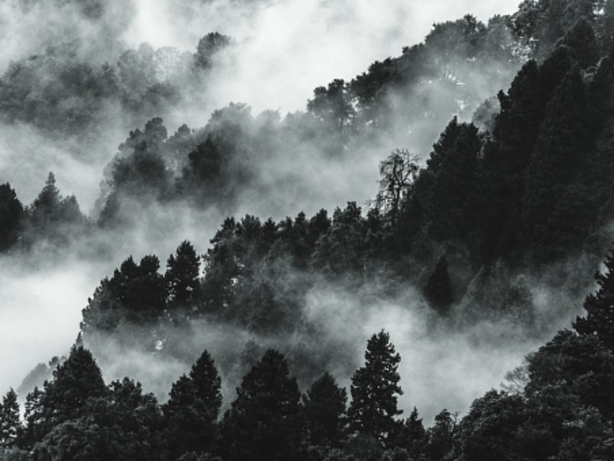 Photo Taken In Nainital (Image Source: Getty)