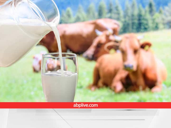 Dairy Development and Milk Production Promotion Policy 2022 will provide Subsidy & employment to 1.25 people यूपी के डेयरी सेक्टर को बूस्टर डोज! दूध प्लांट के लिए 15 करोड़, चारा प्लांट के लिए 7.5 करोड़ का अनुदान, इस तरह मिलेगा लाभ