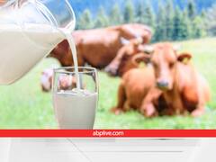 दूध समति, डेरी शेड, पशु आहार सेंटर के लिए शानदार लोन स्कीम, सरकार ने तैयार किया ब्लू प्रिंट