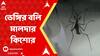 Dengue: ডেঙ্গির বলি মালদার কিশোর, চিকিৎসায় গাফিলতির অভিযোগ পরিবারের