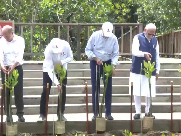 PM Modi along with other G-20 Leaders visited & planted Mangroves at Taman Hutan Raya Ngurah Rai Mangrove forests on sidelines of G-20 Summit in Bali G-20 Summit: પીએમ મોદીએ જી-20ના નેતાઓ સાથે કર્યુ વૃક્ષારોપણ,  જાણો આજે કોની સાથે કરશે દ્વીપક્ષીય મુલાકાત