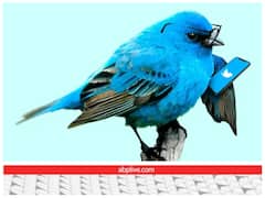 Twitter Bird: क्या आप जानते हैं ट्विटर की नीली चिड़िया का नाम? जानिए इस नाम की दिलचस्प वजह