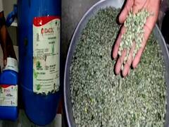 तुम्ही पिस्ता म्हणून शेंगदाणे तर खात नाही? सावध व्हा! नागपुरात पिस्ता म्हणून शेंगदाण्याची विक्री