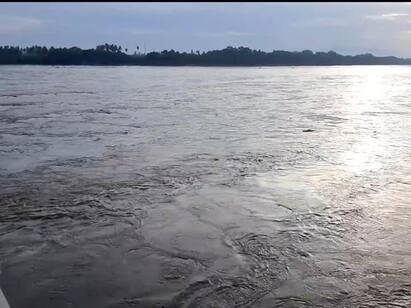 karur: amaravathi dam water flow increased in karur TNN கரூர்: கொட்டிய மழை..அமராவதி ஆற்றின் இரு கரைகளையும் தொட்டு செல்லும் தண்ணீர்..!