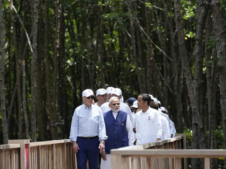 US President Joe Biden and Prime Minister Narendra Modi walk with Indonesian President Joko Widodo through the Taman Hutan Raya Ngurah Rai Mangrove Forest on the sidelines of the G20 summit meeting in Nusa Dua, Bali. (Source: AFP)