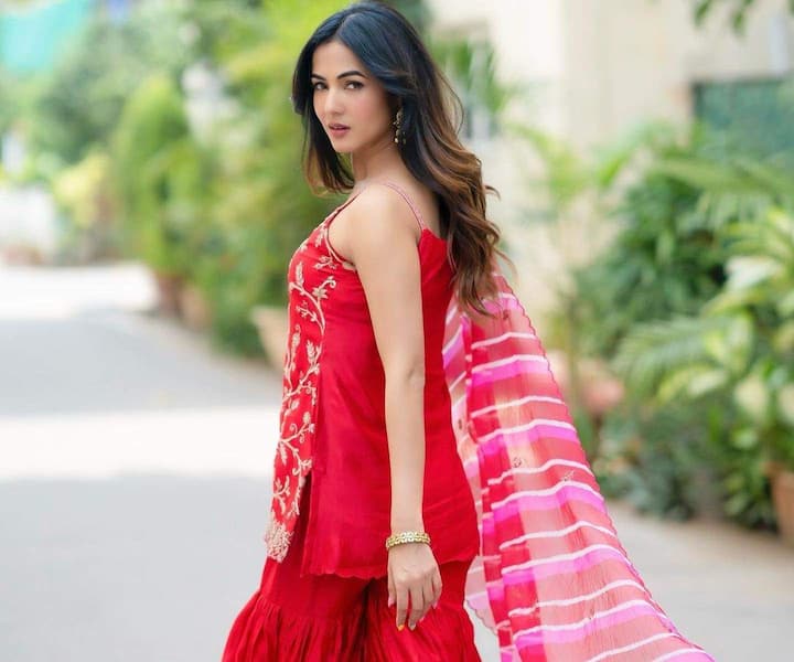 సోనాల్ చౌహాన్ (Image credit: Sonal Chauhan/Instagram)