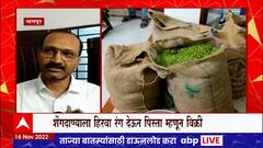 Nagpur Fake Pistachio : शेंगदाण्यावर हिरवा रंग देऊन पिस्ता म्हणून विक्री