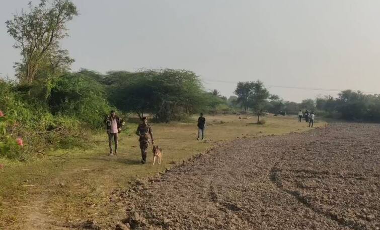 Lioness dies of electrocution in Alidar village Kodinar: ખેતરમાં વીજ કરન્ટથી સિંહણનું મોત, પાપ છુપાવવા ખેડૂતે મૃતદેહ સળગાવી દીધાનો આરોપ