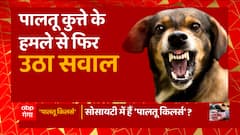 क्या पड़ोसियों के लिए खतरा बनता जा रहा है कुत्ते पालने का शौक ? | Uttar Maange Pradesh