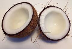 Coconut Oil Benefits: ত্বকের যত্নে নারকেল তেল, কীভাবে করবেন ব্যবহার?