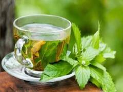 Expensive Tea: चहा पावडर एवढी कुठं महाग असते का? एक किलोसाठी मोजावे लागतात 9 कोटी