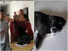 Uttar Pradesh: Wife Of Senior Govt Official Creates Ruckus At Police Station After 'Pet' Dog Goes Missing