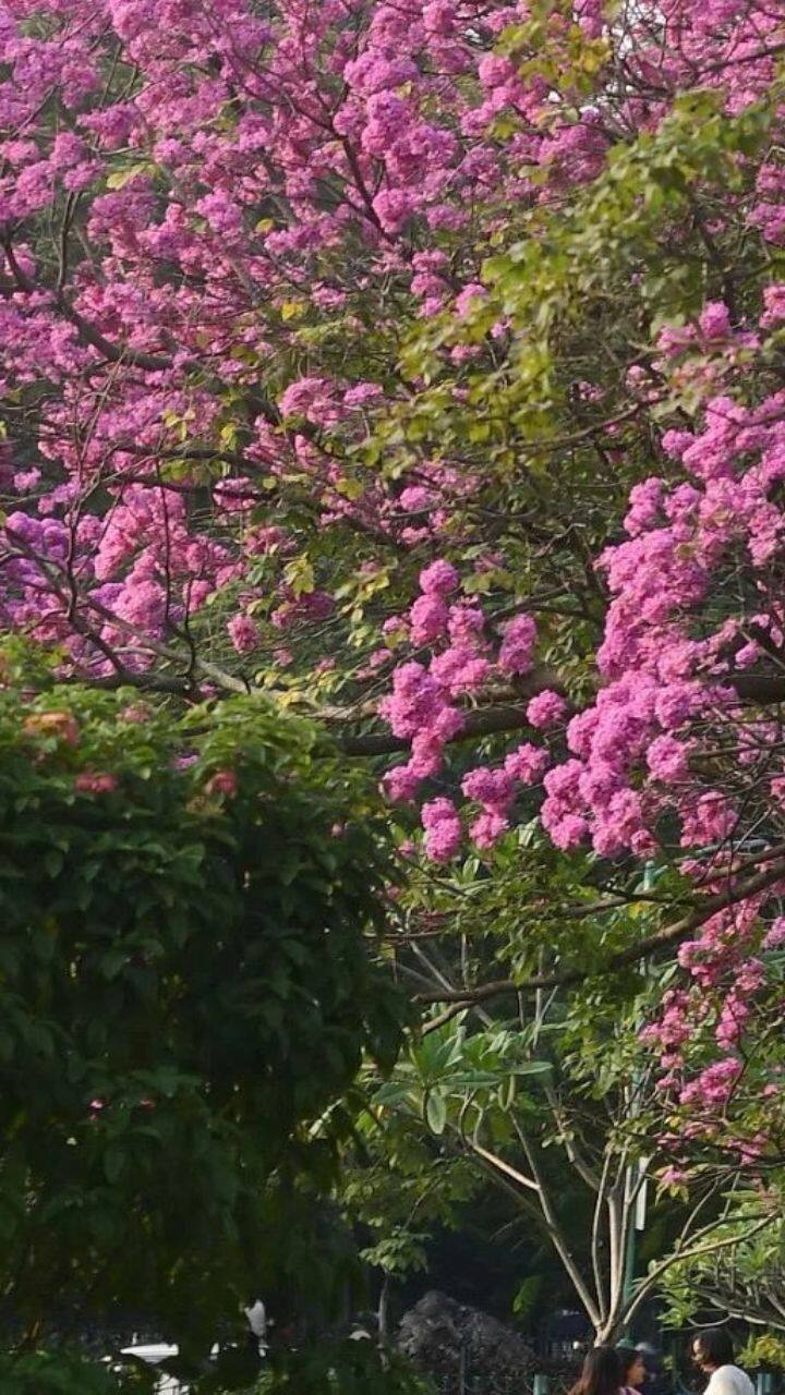இதனால் பெங்களூரு மக்கள் மகிழ்ச்சியில் உள்ளனர்