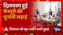 दिलचस्प हुई Mainpuri By election की लड़ाई, चाचा Shivpal Yadav खून-पसीने वाली दुहाई... | UP News