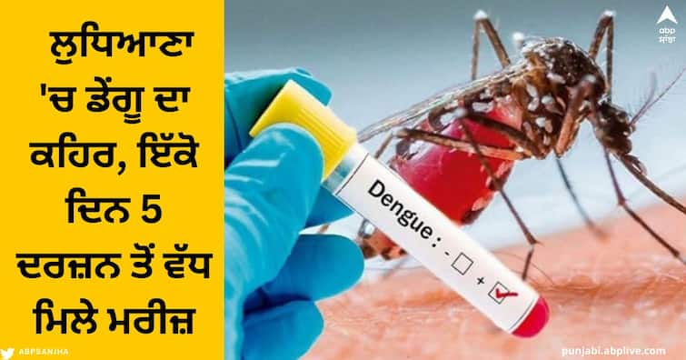 Dengue in Punjab: The fury of dengue in Ludhiana, more than 5 dozen patients came out on the same day Dengue in Punjab : ਲੁਧਿਆਣਾ 'ਚ ਡੇਂਗੂ ਦਾ ਕਹਿਰ, ਇੱਕੋ ਦਿਨ 5 ਦਰਜ਼ਨ ਤੋਂ ਵੱਧ ਮਰੀਜ਼ ਆਏ ਸਾਹਮਣੇ