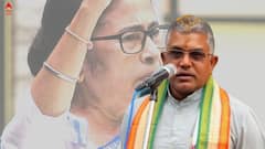 'চোরেদের দল চালাচ্ছেন, দম থাকলে গ্রেফতার করে দেখান', চ্যালেঞ্জ দিলীপের