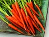 Carrot Buying Tips: इस हैक्स से बाहर से ही पहचानिए गाजर मीठे हैं या कड़वे?