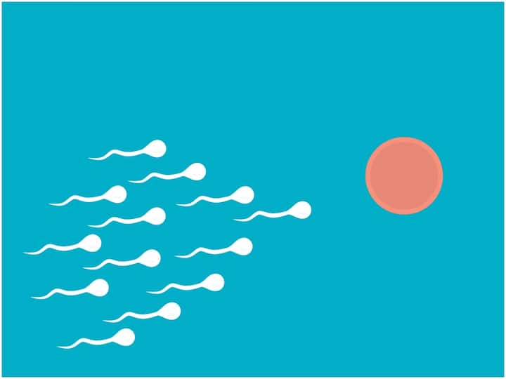 Decline In Sperm Count Globally Including India, Its Danger To men's Health Sperm Count: పురుషత్వానికి సవాల్, స్పెర్మ్ కౌంట్ భారీగా పతనం - షాకింగ్ న్యూస్ చెప్పిన కొత్త అధ్యయనం