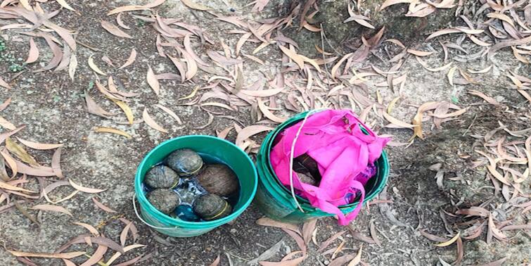 Paschim Medinipur Keshpore more bombs recovered several people arrested after chaos Keshpur Blast : আরও ২৫টি তাজা বোমা উদ্ধার, কেশপুরে বোমা-তাণ্ডবের ঘটনায় ৬ জনকে গ্রেফতার