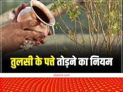 Tulsi Ke Niyam: तुलसी पत्ता तोड़ते समय भूलकर भी न करें ऐसी गलती, घर से चली जाएगी लक्ष्मी