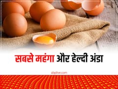 सबसे मंहगा बिकता है काली मुर्गी का अंडा, एक भी पाल लेंगे तो बदल जाएगी किस्मत, सरकार देगी सब्सिडी