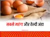 Kadaknath: सबसे मंहगा बिकता है काली मुर्गी का अंडा, एक भी पाल लेंगे तो बदल जाएगी किस्मत, सरकार देगी सब्सिडी