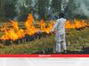 Stubble Burning: क्यों पराली जलाने को मजबूर हैं किसान...मानवाधिकार आयोग ने बताई वजह, इन राज्यों को पड़ी फटकार