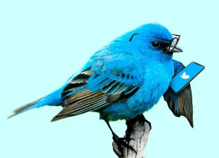 Twitter Bird: Do you know the name of Twitter's blue bird? Know the interesting reason of this name Twitter Bird: ਕੀ ਤੁਸੀਂ ਜਾਣਦੇ ਹੋ ਟਵਿੱਟਰ ਦੀ ਨੀਲੀ ਚਿੜੀ ਦਾ ਨਾਮ? ਜਾਣੋ ਇਸ ਨਾਮ ਦਾ ਦਿਲਚਸਪ ਕਾਰਨ