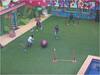 Bigg Boss 6 Telugu: ‘ఇఫ్ యూ ఆర్ బ్యాడ్, ఐ యామ్ యువర్ డాడ్’ -  రేవంత్ వార్నింగ్ వేరే లెవెల్, ఆయనే కొత్త కెప్టెన్?
