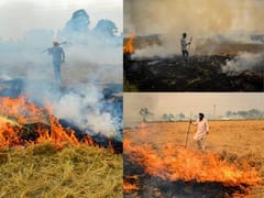 Stubble Management: పొలాల్లో గడ్డి కాల్చితే ఒక్క గింజ కూడా కొనం, రైతులకు బిహార్ ప్రభుత్వం వార్నింగ్