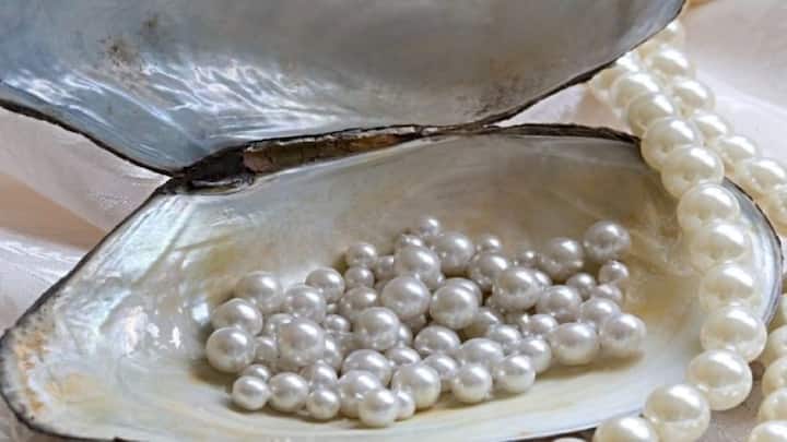 આ બિઝનેસમાં પ્રધાનમંત્રી મત્સ્ય સંપદા યોજના (Pradhan Mantri Matsya Sampada Yojna) થી મદદ મળી શકે છે. તમને ઓછા રોકાણમાં વધુ નફો મળી શકે છે.