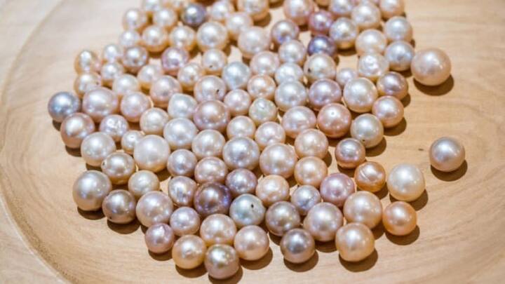 આ ધાંસૂ બિઝનેસ છે મોતીની ખેતીનો (Pearl farming). આ બિઝનેસ આજે ખુબ ચર્ચામાં છે, અને સારુ વળતર આપી રહ્યો છે, સરકાર આ બિઝનેસ માટે 50 ટકા સુધીની સબસિડી આપી રહી છે, આને શરૂ કરવા માટે તમારે ફક્ત 25 હજાર રૂપિયાની જ જરૂર પડી શકે છે. જાણો