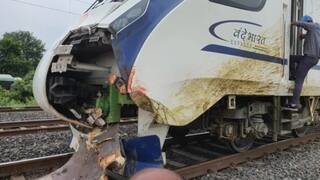 இனி ரயிலுக்கு குறுக்கே கால்நடைகள் வராது.. ரயில்வே நிர்வாகம் கையில் எடுத்த புதிய திட்டம்.. விவரம் என்ன?