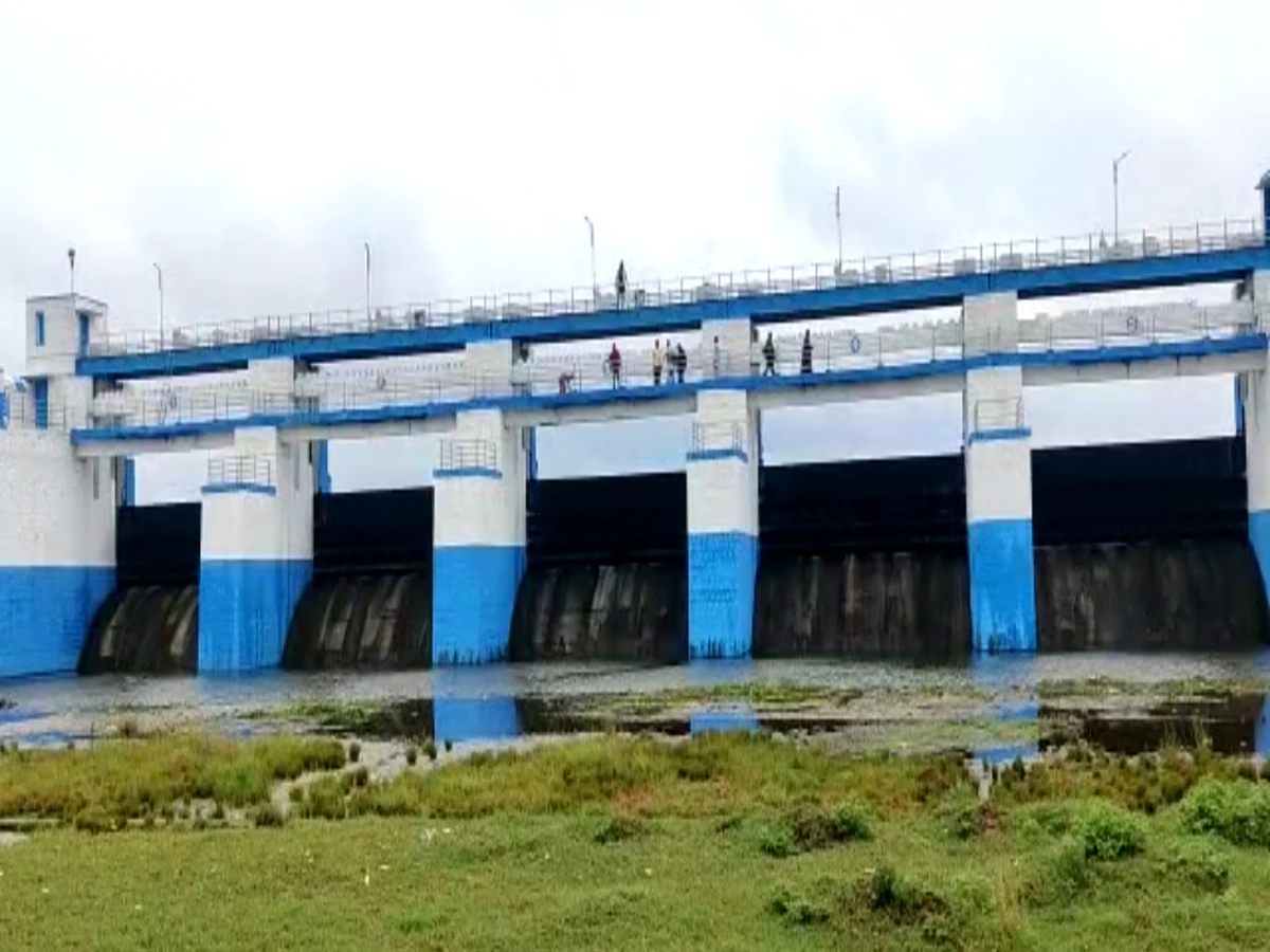 Chembarambakkam Lake: குறைந்த நீர்வரத்து...செம்பரம்பாக்கம் ஏரியின் நிலவரம் தெரியுமா?